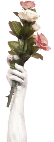 #rose #flower #hand #hold #aesthetic - Hand Hold Flower Png