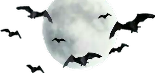 #moon #bats #freetoedit - Moon With Bats Png