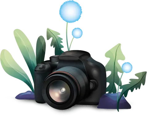 Single-lens Reflex Camera