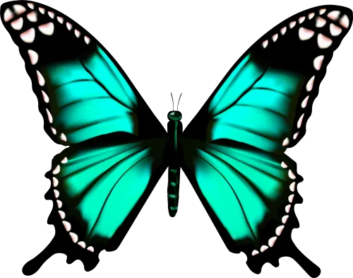 Butterfly Transparent Png Clip Art Imageu200b Gallery - Clip Art Transparent Butterfly