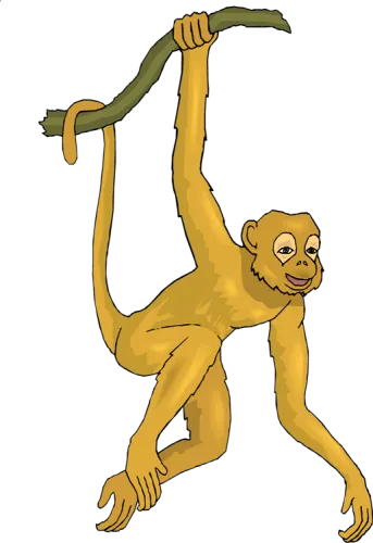 Spider Monkey Pictures Free - Realistic Spider Monkey Monkey Clipart