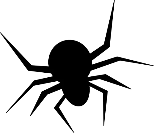 Download Halloween Spider Png Photos - Halloween Spider Transparent Background