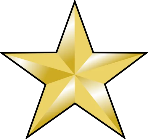 Estrella De Oro Png - Estrella Campeon Del Mundo