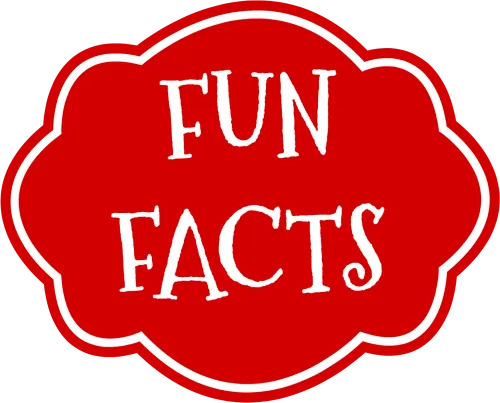 Fun Fact Png Graphic Royalty Free Stock - Fun Facts Clip Art