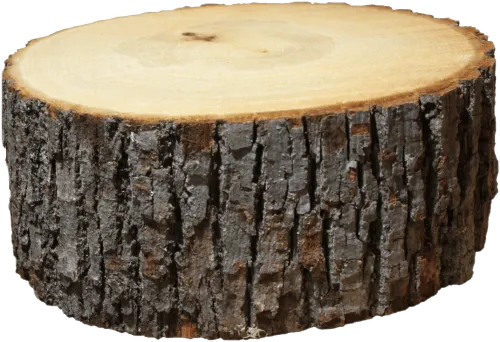 Log Png Image - Wooden Log Png