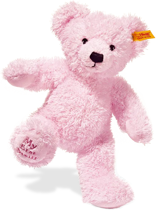 Pink Teddy Bear Png - Pink Teddy Bear Transparent