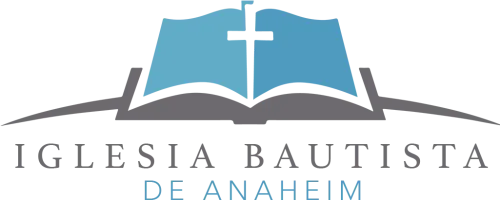 Logo Logo Logo - Open Bible Logo Png