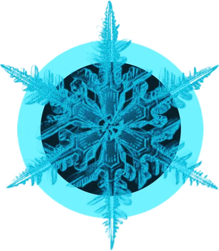 Blue Black Crystal Ice Flower Decorative Png And Psd - Png Ice Crystal