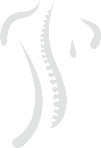 Spine Graphic - Chiropractic Spine Logo