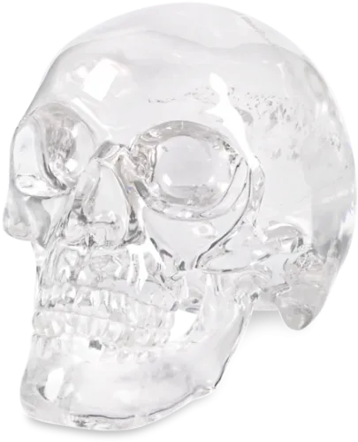 Rock Crystal Skull By Andreas Von Zadora-gerlof - Crystal Skull