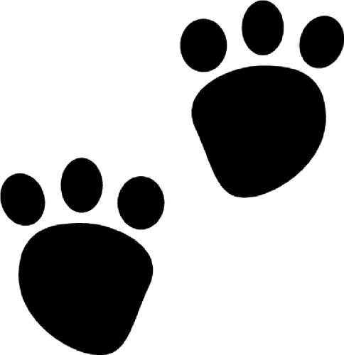 Bear Paw Clipart Bear Paw Clip Art Bear Paws Clipart - Cartoon Teddy Bear Footprints