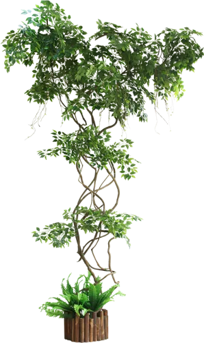 Ginkgo Fake Branch Simulation Leaves Balcony Package - Fake Tree Png