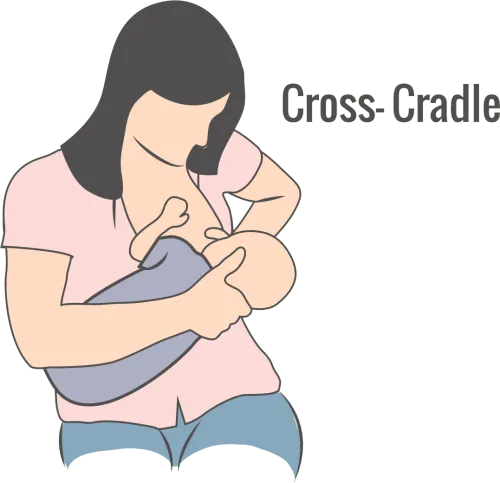 Illustration Of Cross-cradle Breastfeeding Hold - Cross Cradle Hold Position