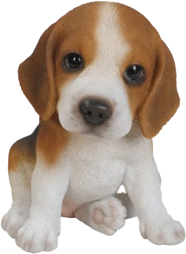 Beagle Png Background Image - Beagle Puppy Png