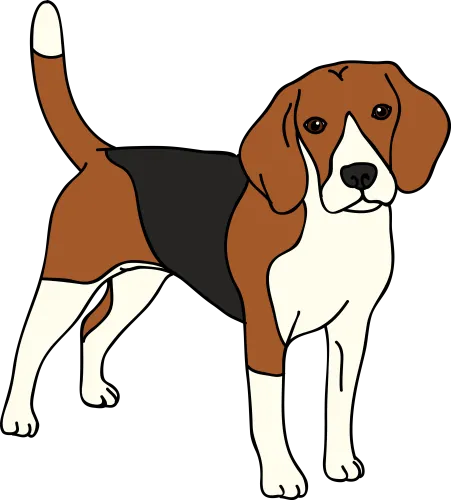 Collection Of Free Beagle Drawing Hound Dog Download - Beagle Clipart Png