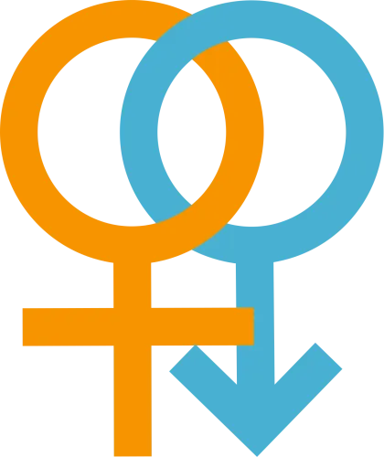Transparent Sexual Clipart - Sex And Gender Logo Png