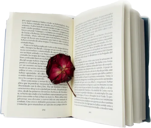 #sticker #aesthetic #flower #red #art #pretty #book - Folio Two From Burchard Of Sion's De Locis Ac Mirabilibus