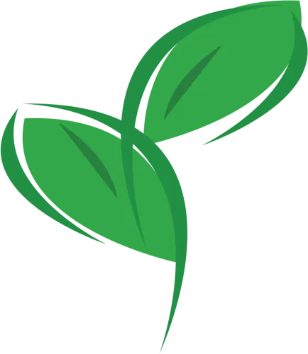 Eco Logo Leaves - Eco Friendly Logo Transparent