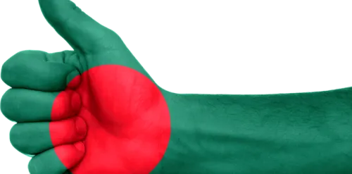 Fintech In Bangladesh - Bangladesh Flag Png