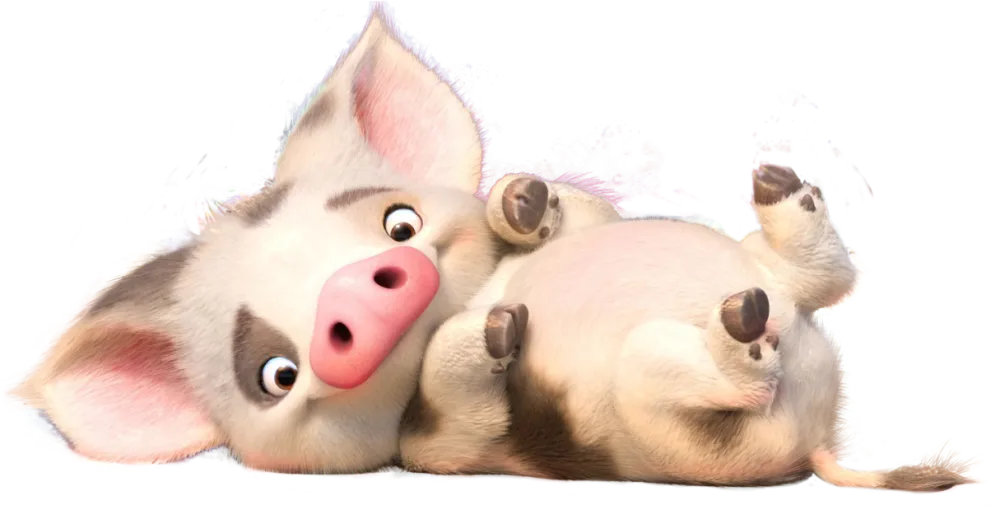 Pua Transparent Lil Bit Difficult Getting The Background - Disney Characters Moana Pig