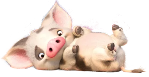 Pua Transparent Lil Bit Difficult Getting The Background - Disney Characters Moana Pig