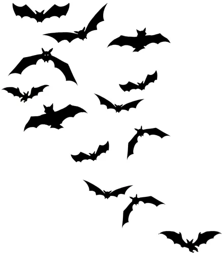 #freetoedit #flying #bats - Flock Of Bats Silhouette
