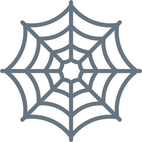 Realistic Spider Web Png -spider Web - Halloween Spider Illustration