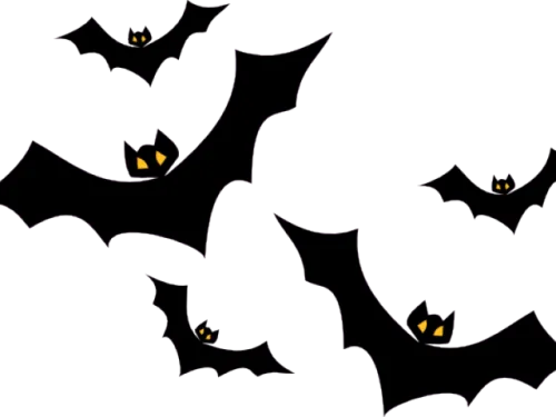 Halloween Bats Png - Halloween Bats Clipart