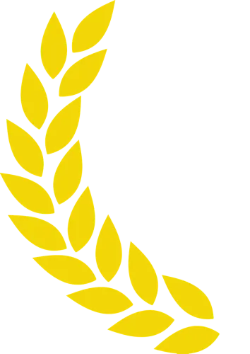 Spqr Ancient Rome Logo
