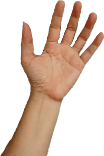#hand #people #human #open #keep #hold #take #put #love - Hold Hands Open Transparent Png