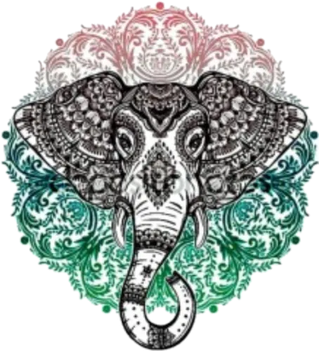 #elefante #elephant #mandala #hipster - Elephant Mandala