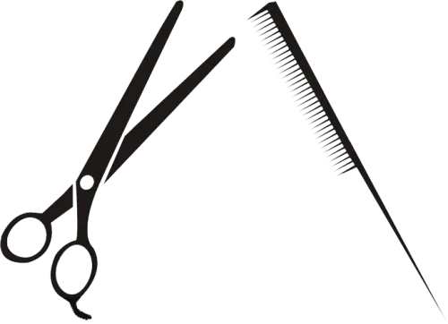Comb Scissors Hair Care - Vector Hair Scissors Scissors Png