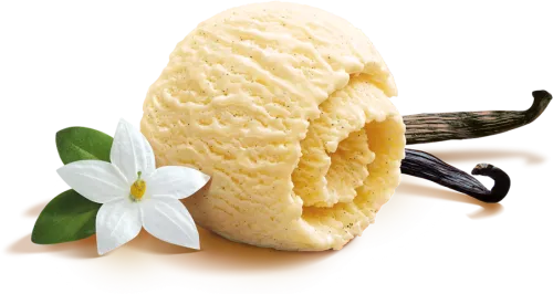 Slow-melting Ice Cream - Ice Cream Vanilla Flavor Png