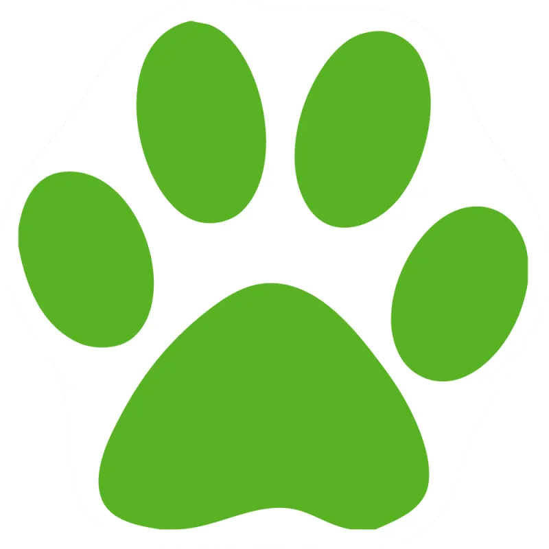 Custom Cat Paw Car Magnets - Green Cat Paw Print