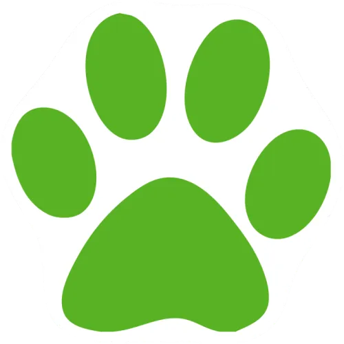 Custom Cat Paw Car Magnets - Green Cat Paw Print