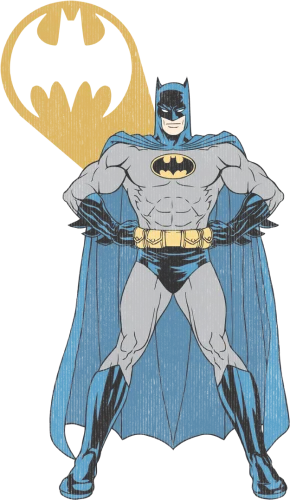 Batman Arms Akimbo Bats Youth T Shirt 
 Class - Batman - Arms Akimbo Bats