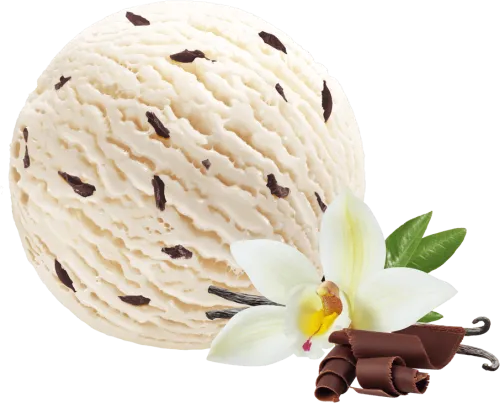 Vanilla Ice Cream With Chocolate Chips - Vanilla Ice Cream With Choc Chips