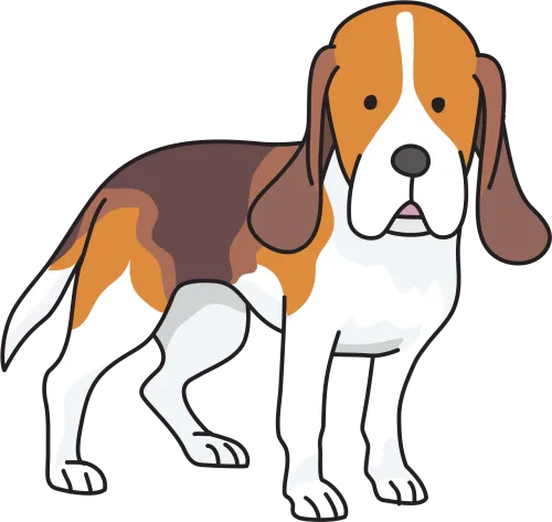 Beagle Puppy Basset Hound Foxhound Clip Art - Beagle Clipart Png