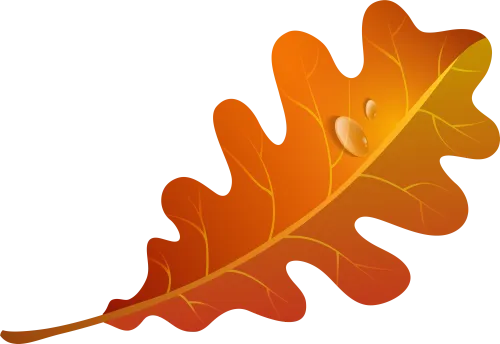 Fall Orange Leaf Png Clipart Imageu200b Gallery Yopriceville - Fall Leaf Clip Art