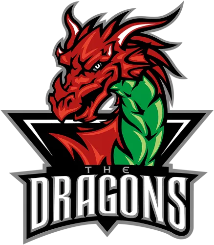 Dungeons Amp Dragons Clipart Logo - Logo De Team Dragons
