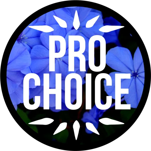Pro Choice Quotes Tumblr Hd Pro Choice Or No Voice - Pro Choice Png