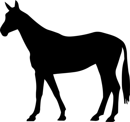 Transparent Horse Tail Png - Arabian Horse Clipart