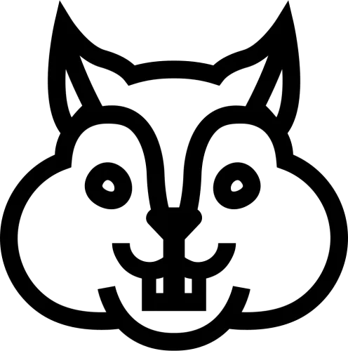 Squirrel Face Frontal Outline - Squirrel Face Drawing Easy
