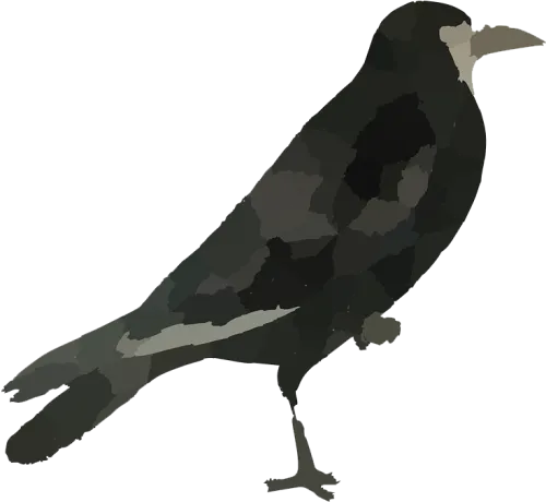 Raven Bird Png Hd - Crow Clipart Png