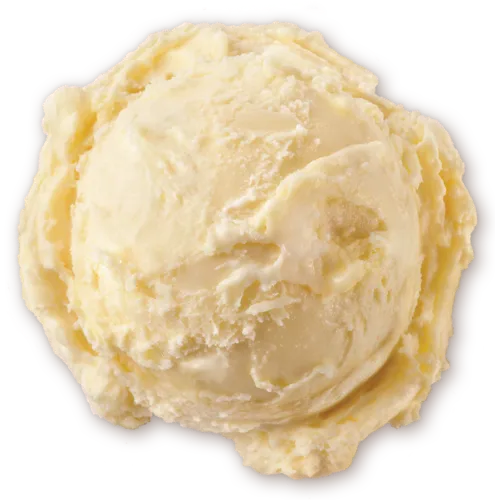 Homemade Brand Vanilla Ice Cream Scoop - Vanilla Ice Cream Scoop