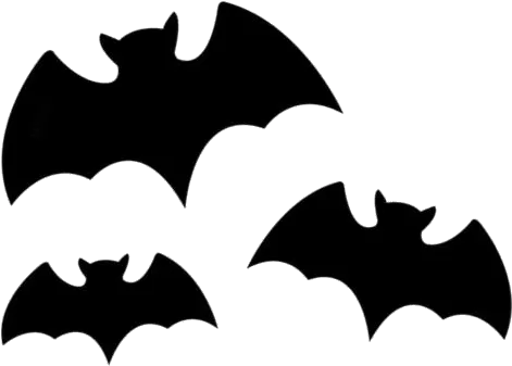 Halloween Bats Png Transparent Images - Bats Cartoon Drawing