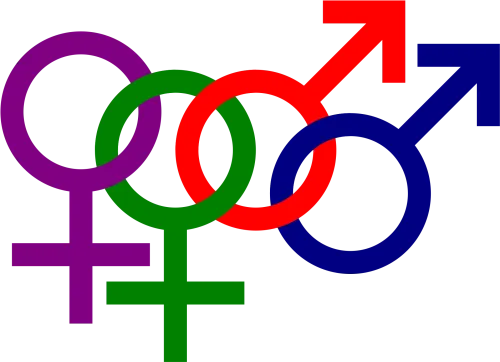 Sexual-orientation - Homosexual Symbol