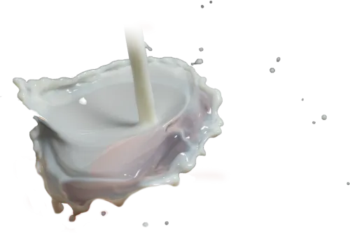 Milk Almond Milk Skinny Milk Coconut Milk - Transparent Coconut Milk Png