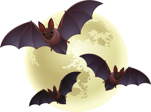 Creepy Bats Halloween - Scary Halloween Transparent Background