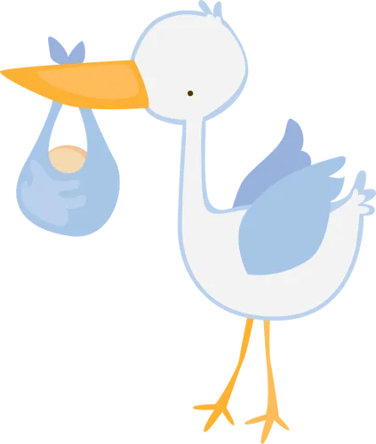 Stork Vector Banner Baby Boy Stork Clipart - Cigueña Baby Shower Niño